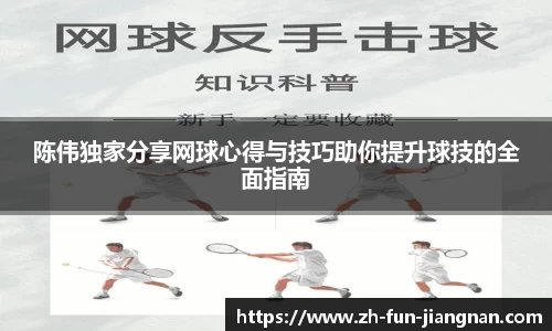 陈伟独家分享网球心得与技巧助你提升球技的全面指南